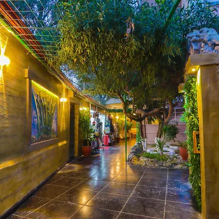 Aperion Side ホテル マナウガト